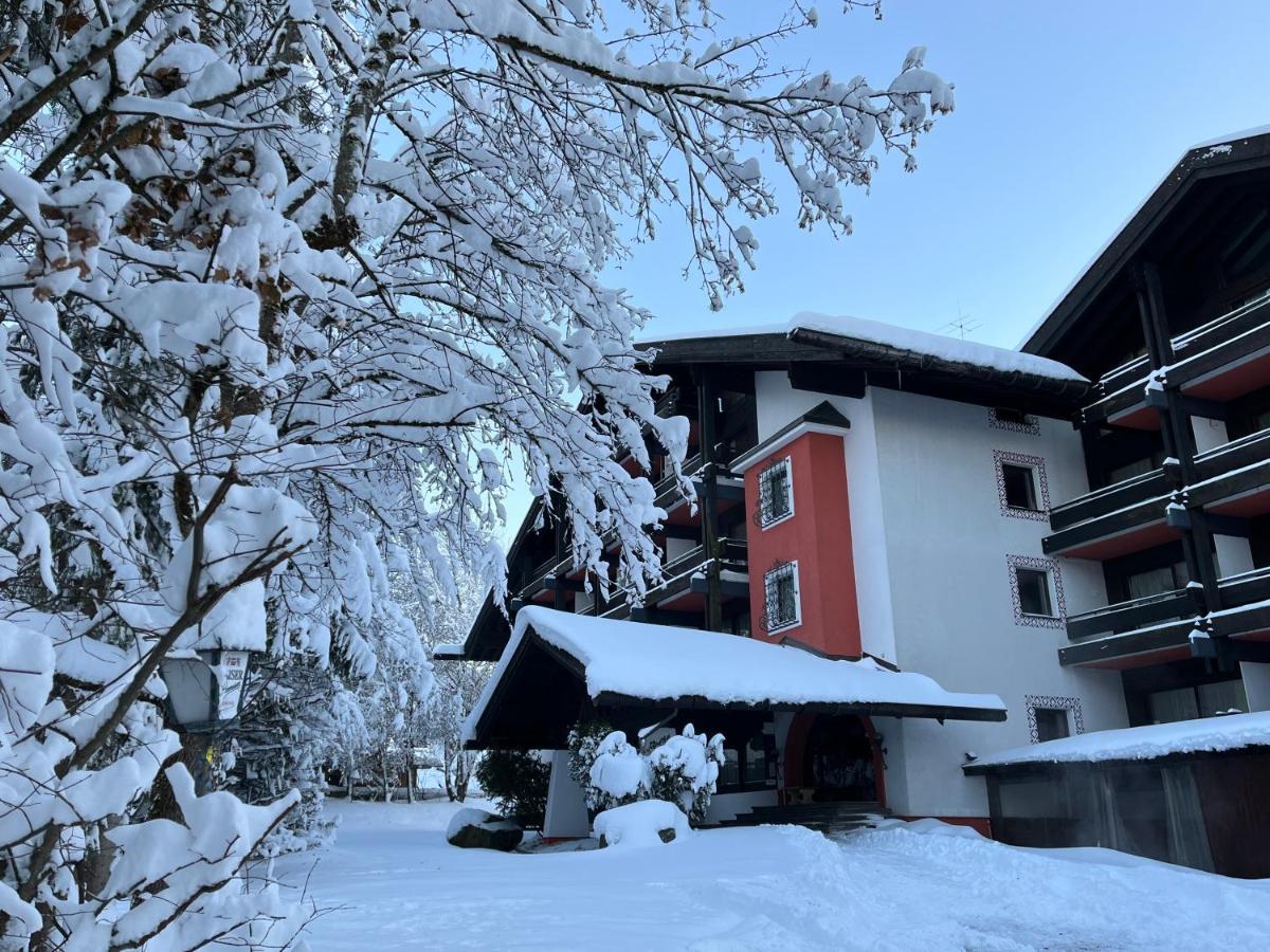 B&B In Seefeld Seefeld in Tirol Eksteriør billede